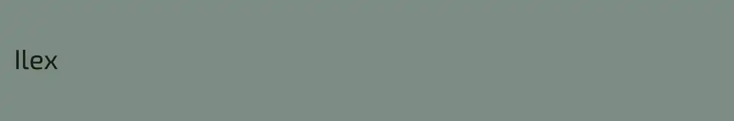 Ilex