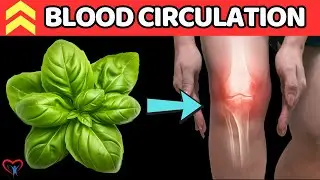 TOP 7 HELPFUL Tips To Enhance Blood Circulation IN YOUR LEGS After 50 | Vitality Solutions