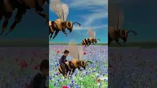Special effects /Time to collect nectar 🐝🐝🐝