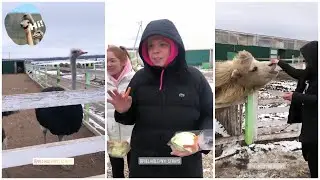 Элвин Грей в КФХ «Великолепный страус»