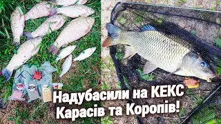 Ловля КАРАСЯ та КОРОПА на різних водоймах!