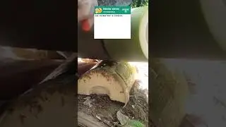 Анекдот про лошадь и Ржевский😂 