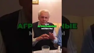Окисление продуктов Как оно влияет на наш организм