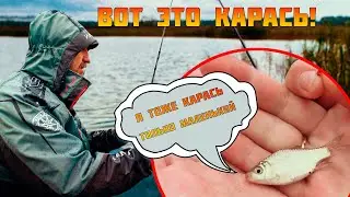 С ФИДЕРОМ ЗА КАРАСЁМ. КЛЮЁТ ЛИ РЫБА В ДОЖДЬ? Проверим на практике.