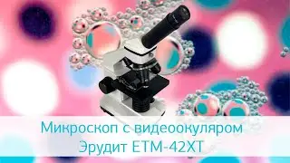 Микроскоп с видеоокуляром Эрудит ETM-42XT