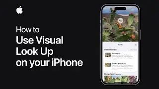 How to use Visual Look Up on your iPhone | Apple Support