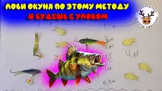 Подробная инструкция 👍 Ловля окуня зимой 👍 Лови так и будешь с уловом