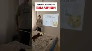 учебное пособие для кота😄