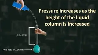 The pressure increases as the height of the liquid column is increased