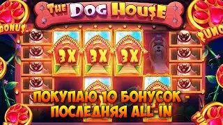 ИГРАЮ В ДОГ ХАУС И BLACKJACK / КУПИЛ ДЕСЯТЬ БОНУСОК, НА ПОСЛЕДНЕЙ ИДУ ALL-IN / НАКОНЕЦ-ТО ЗАНОС?