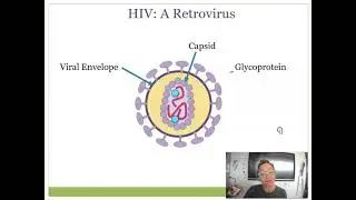 Retroviruses