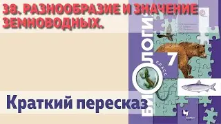 38. Разнообразие и значение земноводных. Биология 7 класс.  Краткий пересказ.