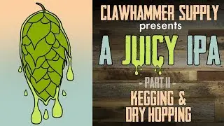 Dry Hopping and Kegging the Juicy IPA Homebrew