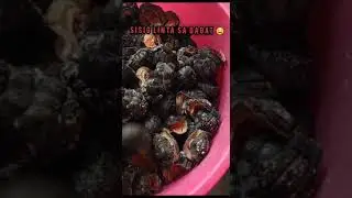 Cooking Sea Leech /kibit or tarukog