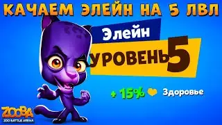 КАЧАЕМ ПАНТЕРУ ЭЛЕЙН НА 5 УРОВЕНЬ В ИГРЕ ZOOBA