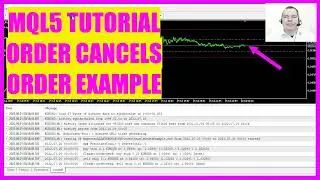 MQL5 TUTORIAL - ORDER CANCELS ORDER (Simple Example)