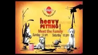 NDTV Heavy Petting - Powered by Pedigree