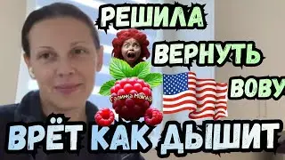 Big Big Family in the USA /Решила вернуть Вову /Врет как дышит /Обзор /Жизнь в Америке /США Vlog