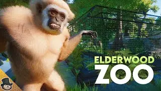 Abandoned Rainforest Walkway For Lar Gibbons In Planet Zoo | Elderwood Zoo