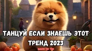 💗ТАНЦУЙ ЕСЛИ ЗНАЕШЬ ЭТОТ ТРЕНД 2023💗