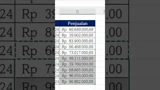 Ubah Format Rupiah Jadi Mudah Dengan Format Painter! ✨