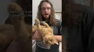 My cat has a RARE mutation 🤯