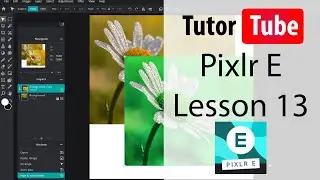 Pixlr E Tutorial - Lesson 13 - Arrange Tool