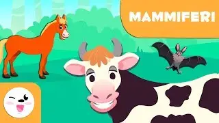 Mammiferi per bambini - Animali vertebrati - Scienze naturali per bambini