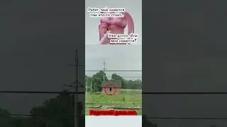 Мне Кажеться Или Там Кто-То Стоит?😳👍🏻🔥 
