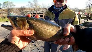 Long Island BIG STOCKER TROUT & Fishing with Vitali From the Ukraine