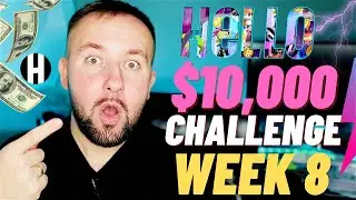 $10,000 Crypto DCA Challenge - Hello Token Next NETFLIX  (Week 8)