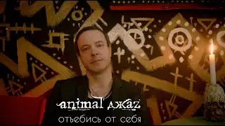 Animal ДжаZ — Отъебись от себя (премьера клипа)