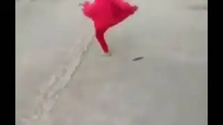 Boy vs hen funny fight