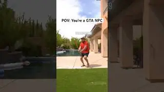 POV: You’re a GTA NPC