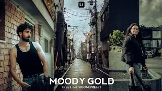 Moody Gold Preset | Lightroom Mobile Preset Free DNG | lightroom tutorial | lightroom presets