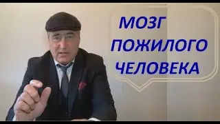 Мозг пожилого человека.