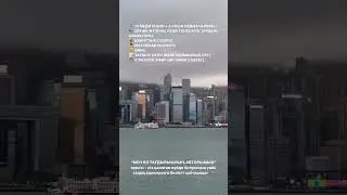 Толық ақпарат алу үшін ватсабыма хабарласыңыз
