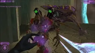 Halo 2 - Can You Kill The Heretic Leader Early Or Stop Him From Getting Into His Banshee?