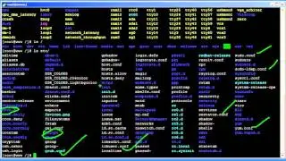 Linux Filesystem Hierarchy