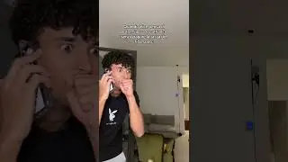 ALICE PEREGO E PUCHO  #tiktok #video #webboh #italia #live #iscriviti #stardusthouse #outfit