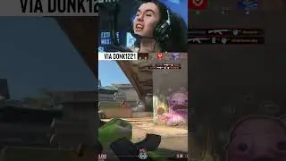 donk just keeps on delivering