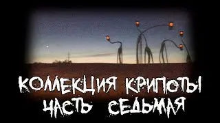 Коллекция крипоты - часть 7