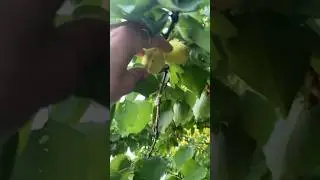 Поменяла на Крым квартиру в Подмосковье 😍😍😍 часть 2