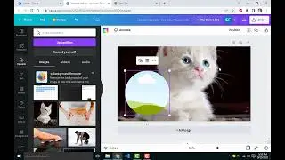 How to CROP AN IMAGE IN A CIRCLE IN CANVA