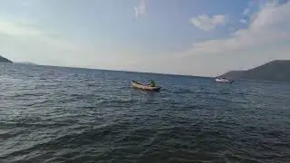 חותר סבבי  .. נבלה  כבדה.  Raw