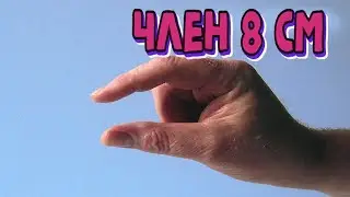 Член 8 СМ - МАЛО ???