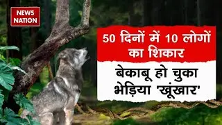Bahraich Wolf Attack: 50 दिनों में 10 लोगों का शिकार, बेकाबू हो चुका भेड़िया खूंखार | EXCLUSIVE