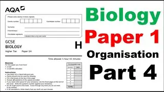 Biology Paper 1 GCSE Organisation Questions Part 4