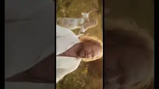 Возвращаться домой #ВладимирЕкатеринаЛатенковы