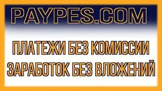 PAYPES - обзор нового кошелька, все переводы БЕЗ КОМИССИИ + ЗАРАБОТОК